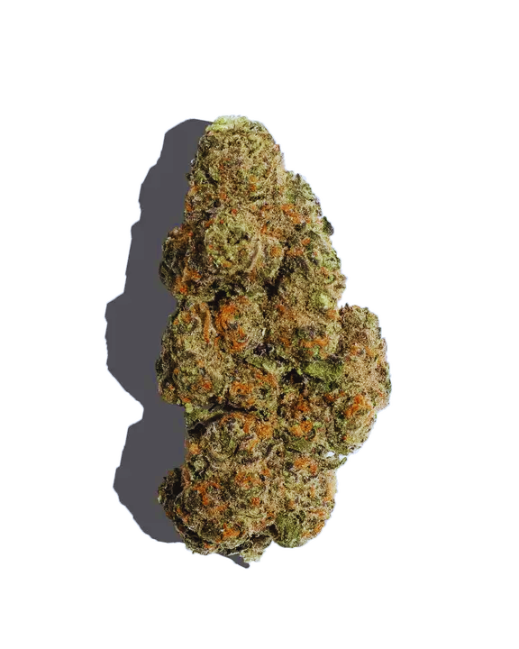 Purple OG Weed Strain
