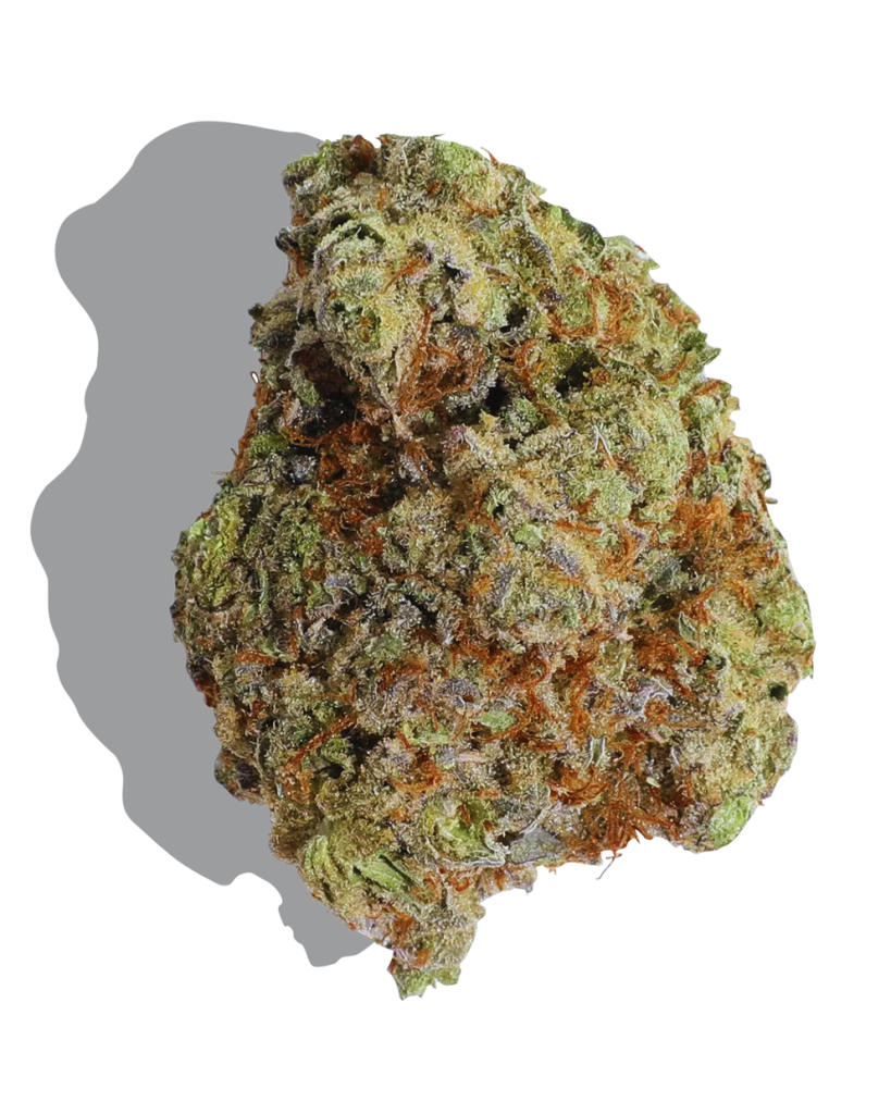 Cali Kush Strain