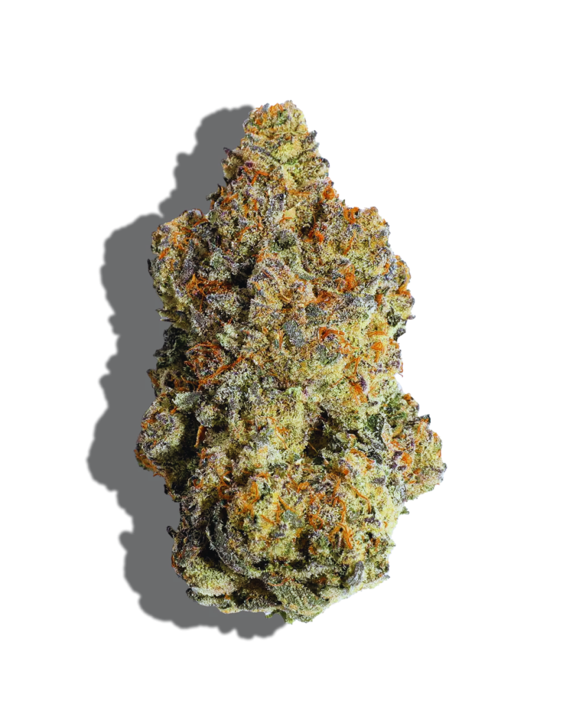 Acapulco Gold Weed Strain