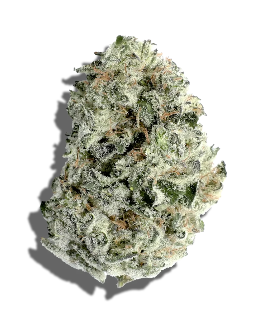 Forbidden Fruit Weed Strain