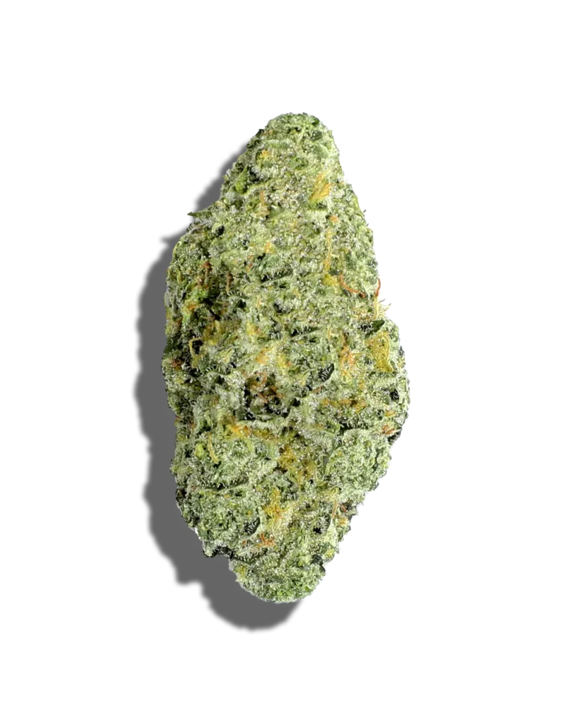 Humboldt OG Kush Strain