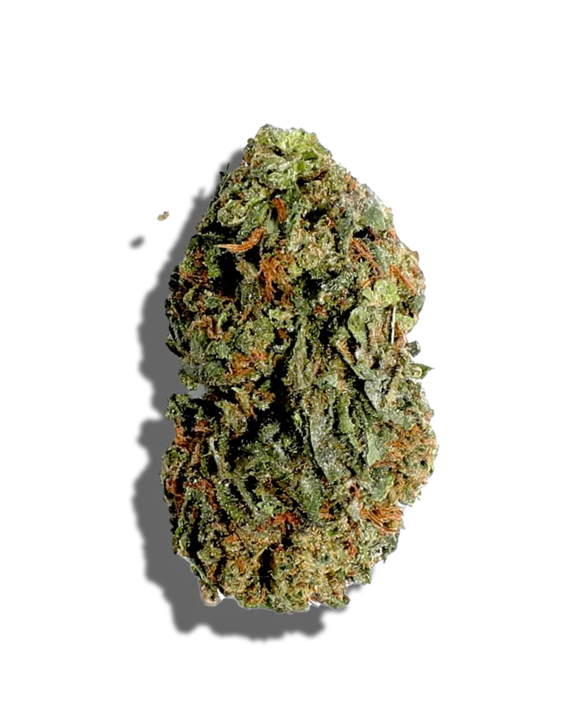 Popcorn Jack Herer OG Strain