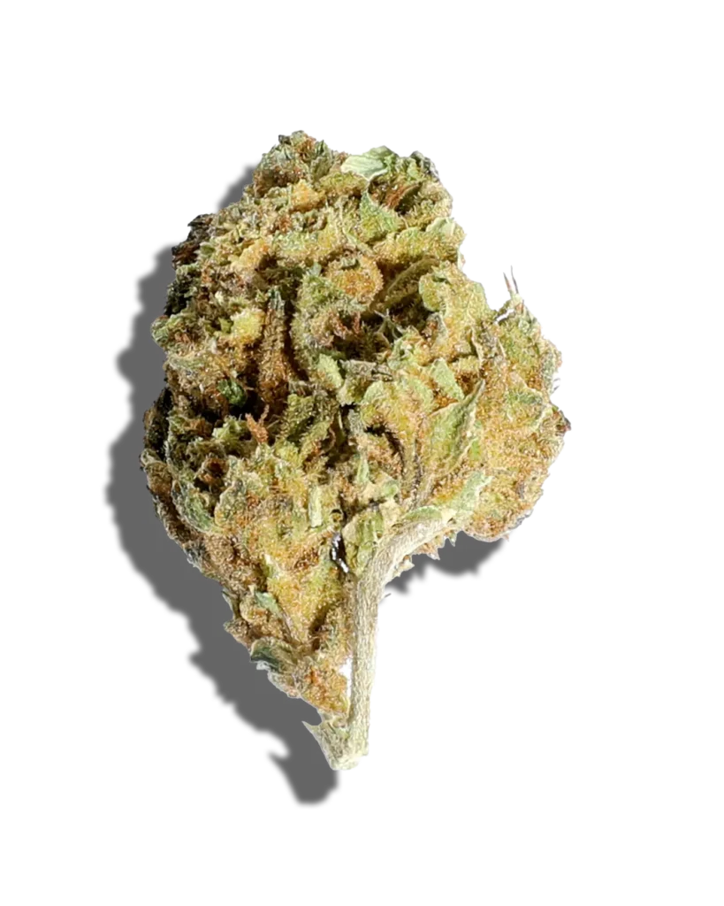 Sherbert OG Weed Strain