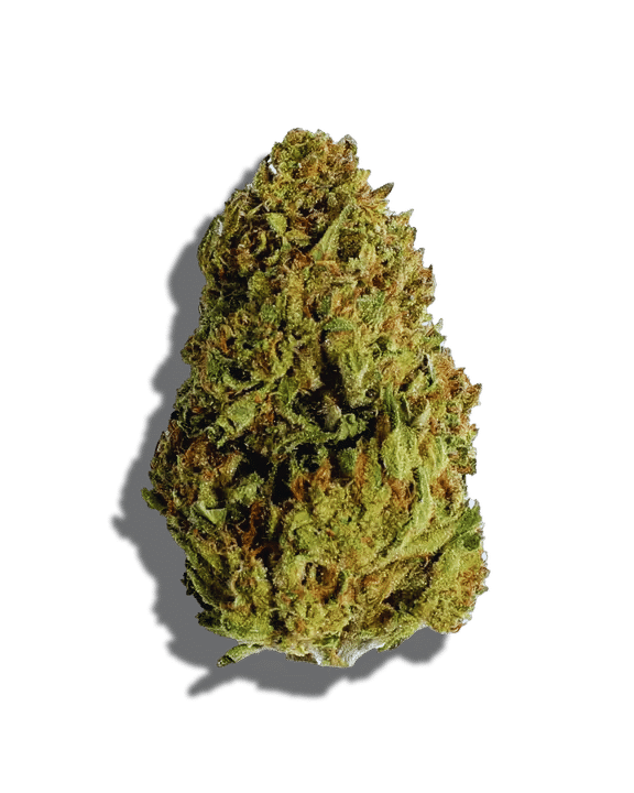 Kosher Kush Weed Strain