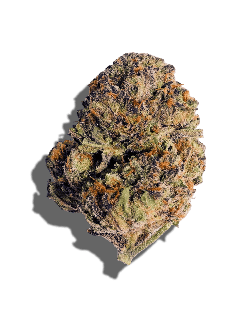 Blood Honey Strain