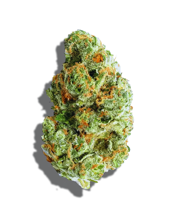 Gushers Weed Strain