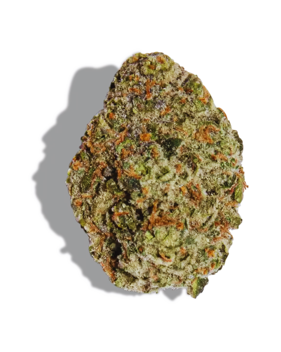 Jedi Kush OG Strain