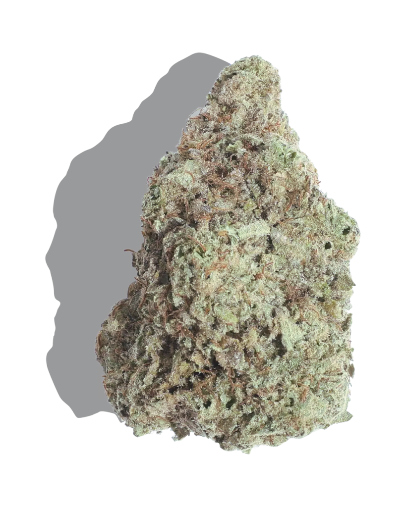 Alien OG Strain
