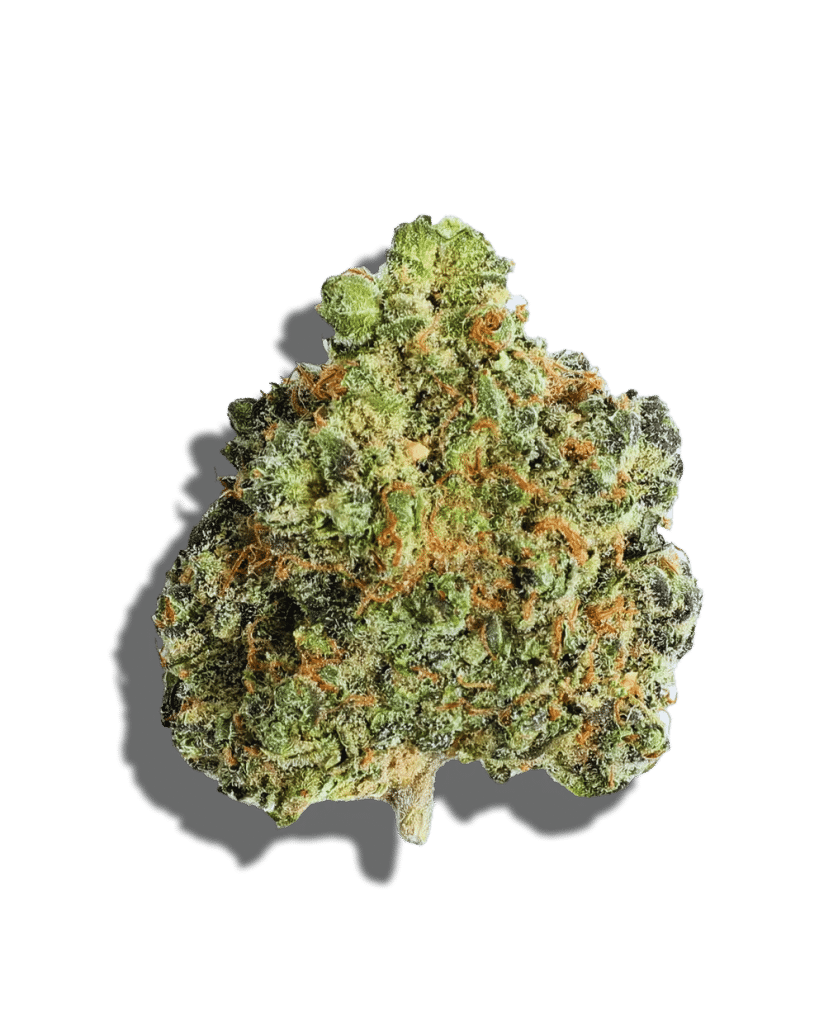 Sunset Sherbert Strain