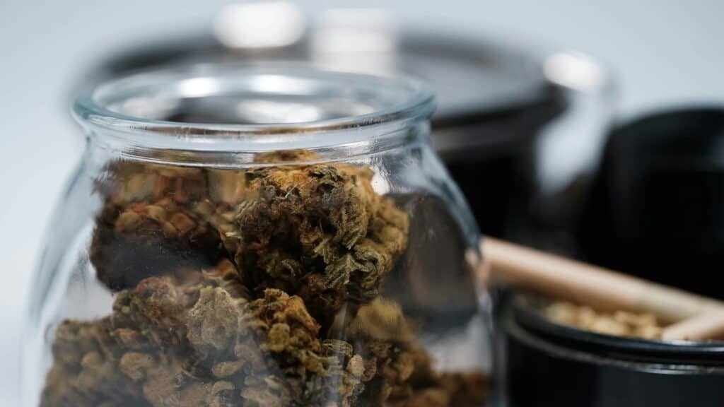 man smokes weed in the shop Close-up of Sunrise Strain cannabis buds in a glass jar for review.