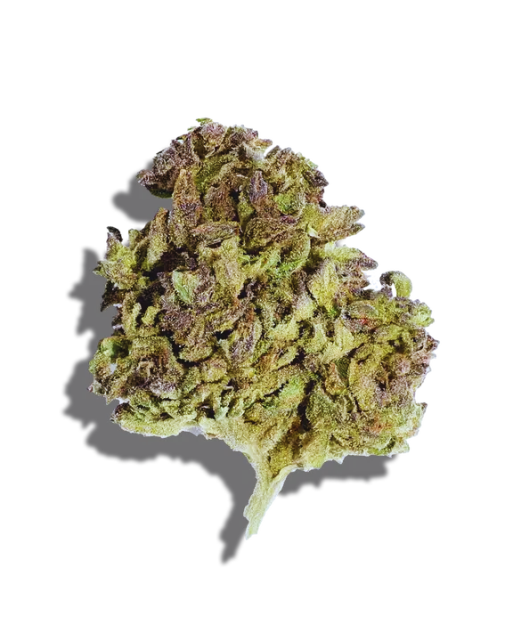 Haupia Weed Strain