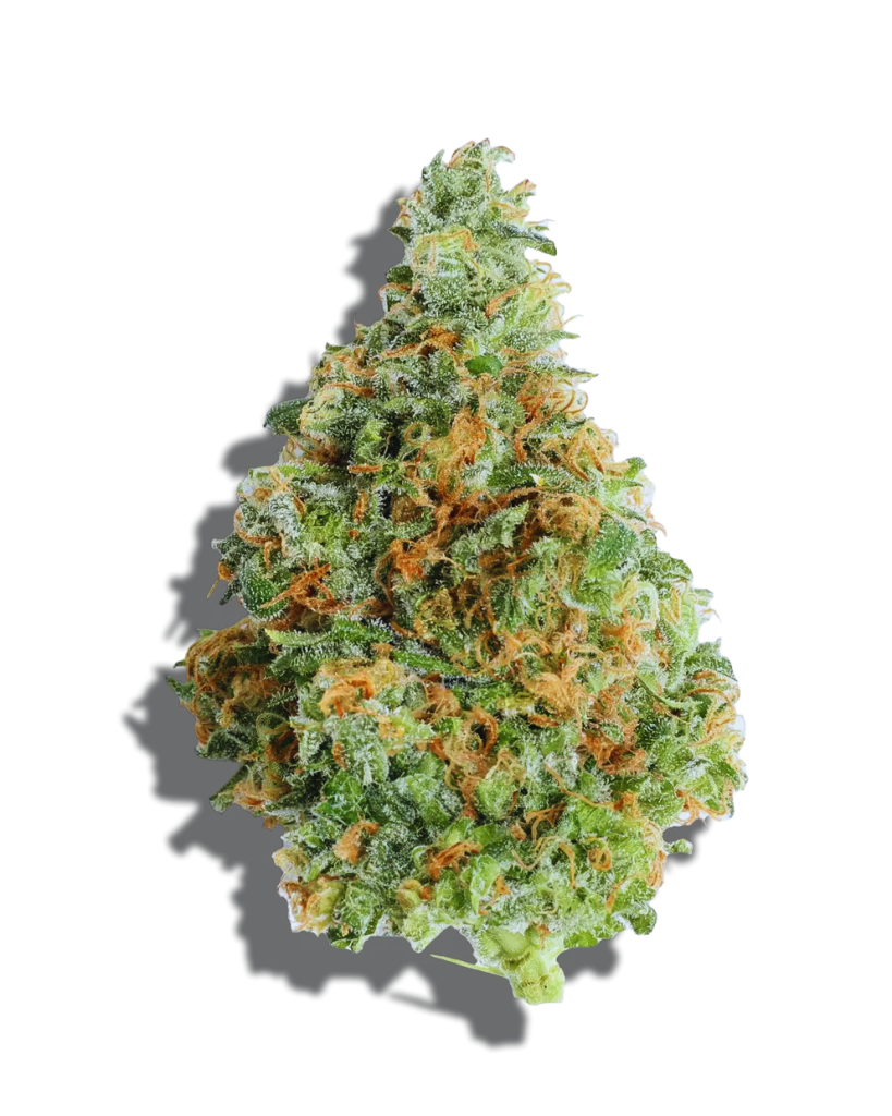 Day Day Weed Strain