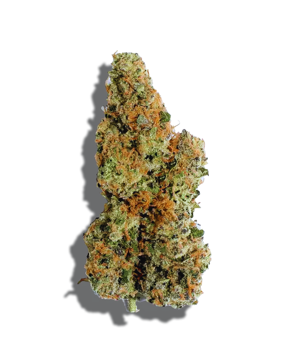 Purple Crip Strain