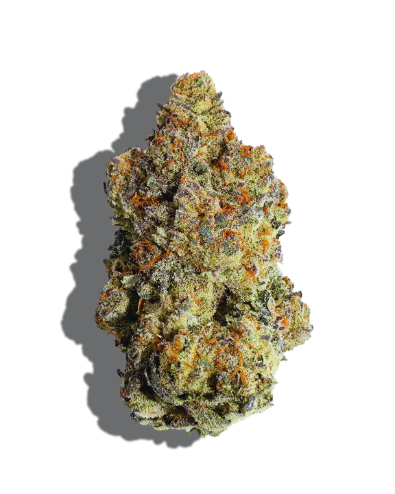 Zushilato Strain
