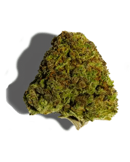 Black Cherry Garlic Strain