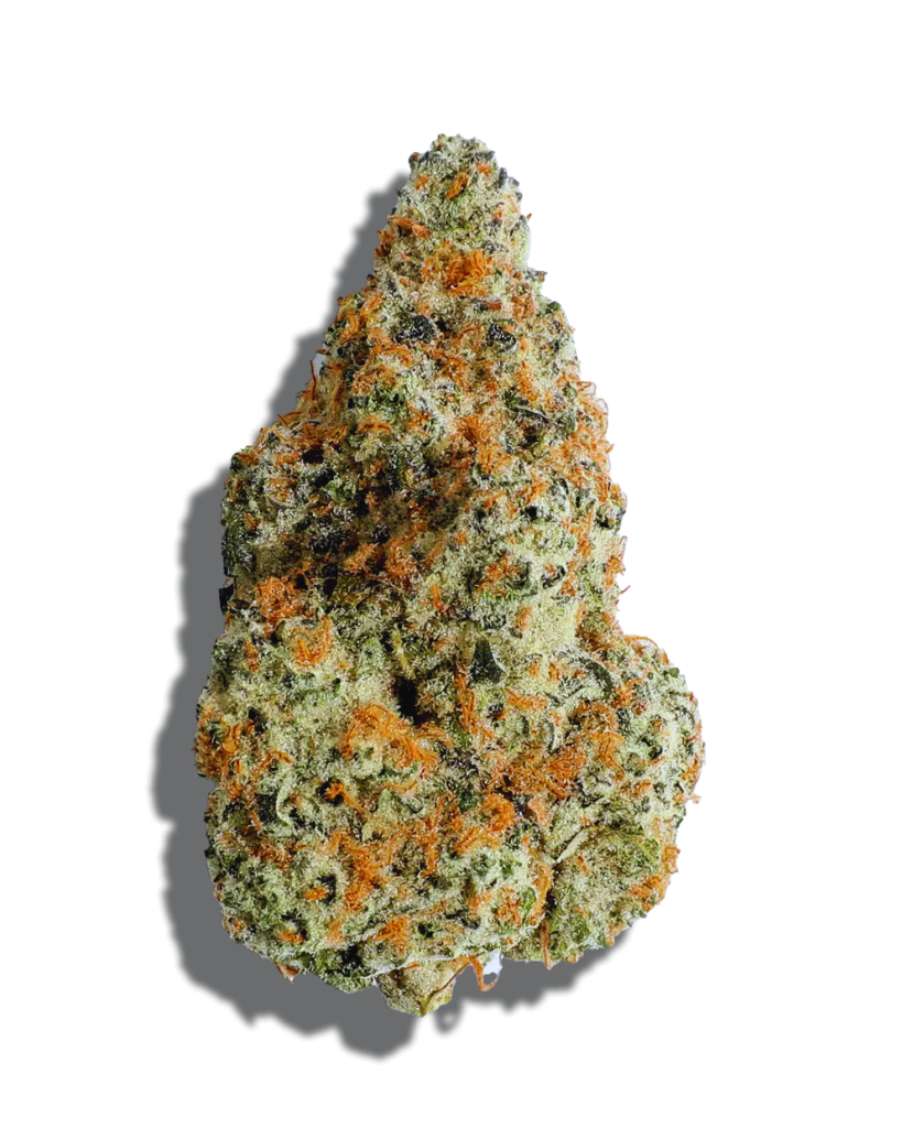 Black Maple Strain