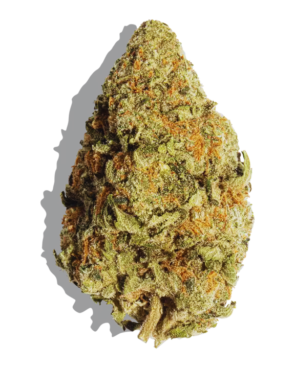 Cochino Strain