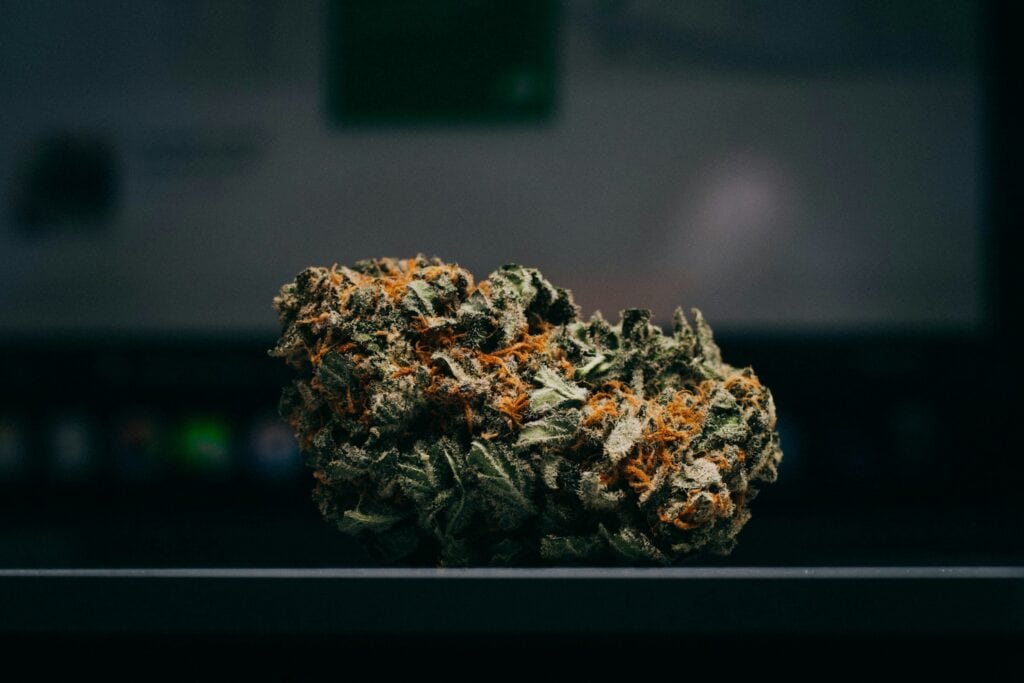Close-up of a cannabis bud from the MMXX strain review at Highvendor.