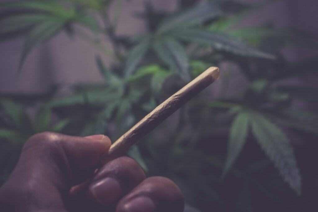 Highvendor pre-rolled joint with Tom Brady cannabis strain close-up.