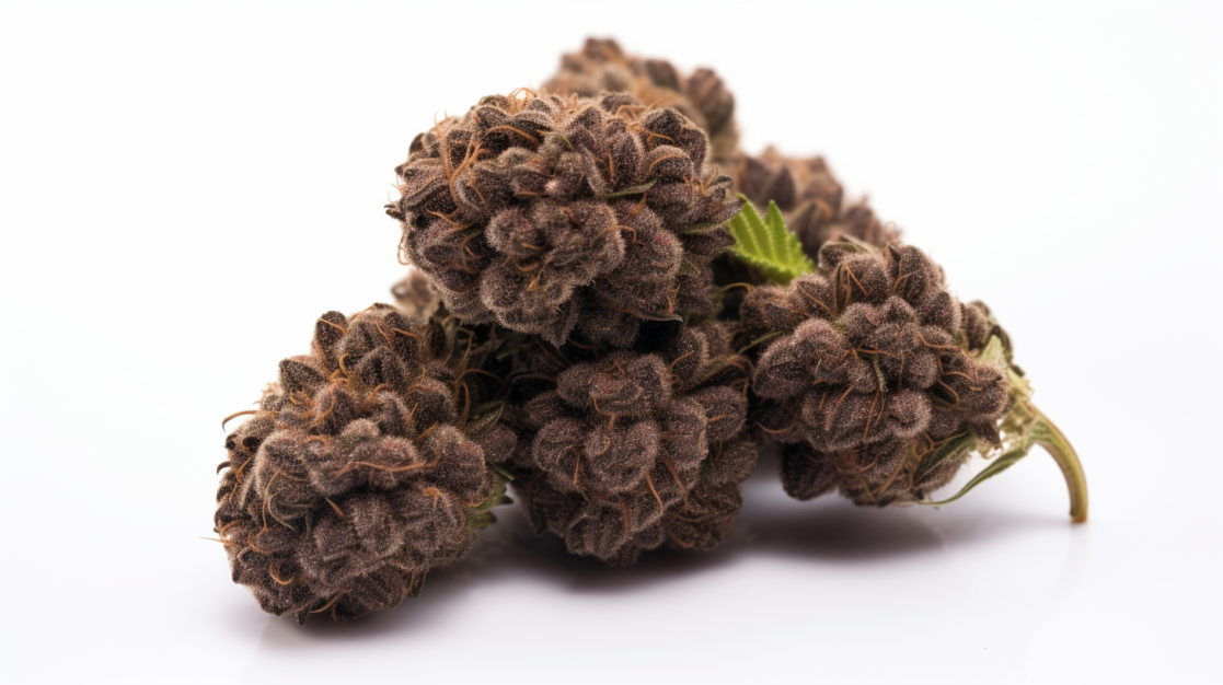 Truffle Berry Strain Review Highvendor [2023]