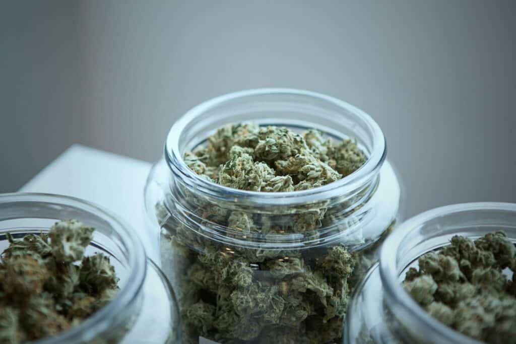 Premium Stunna Strain cannabis in glass jars for optimal freshness.