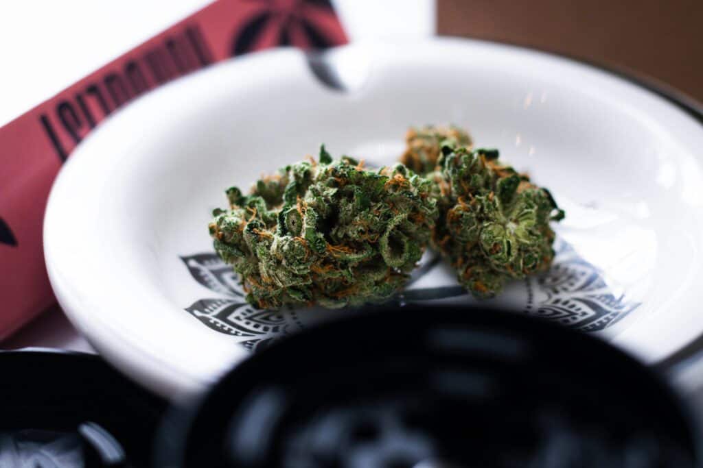 Highvendor Tommy Shelby strain cannabis buds on a white plate.