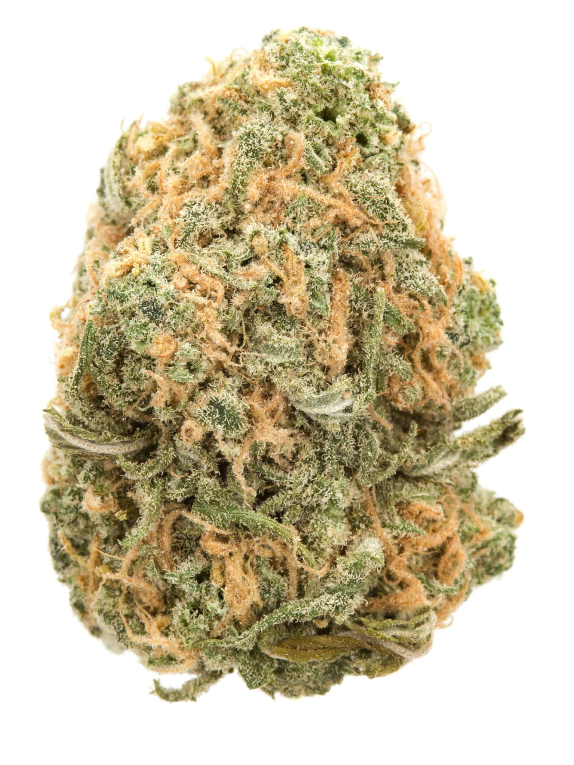 Highvendor Blue Dream cannabis bud for review.