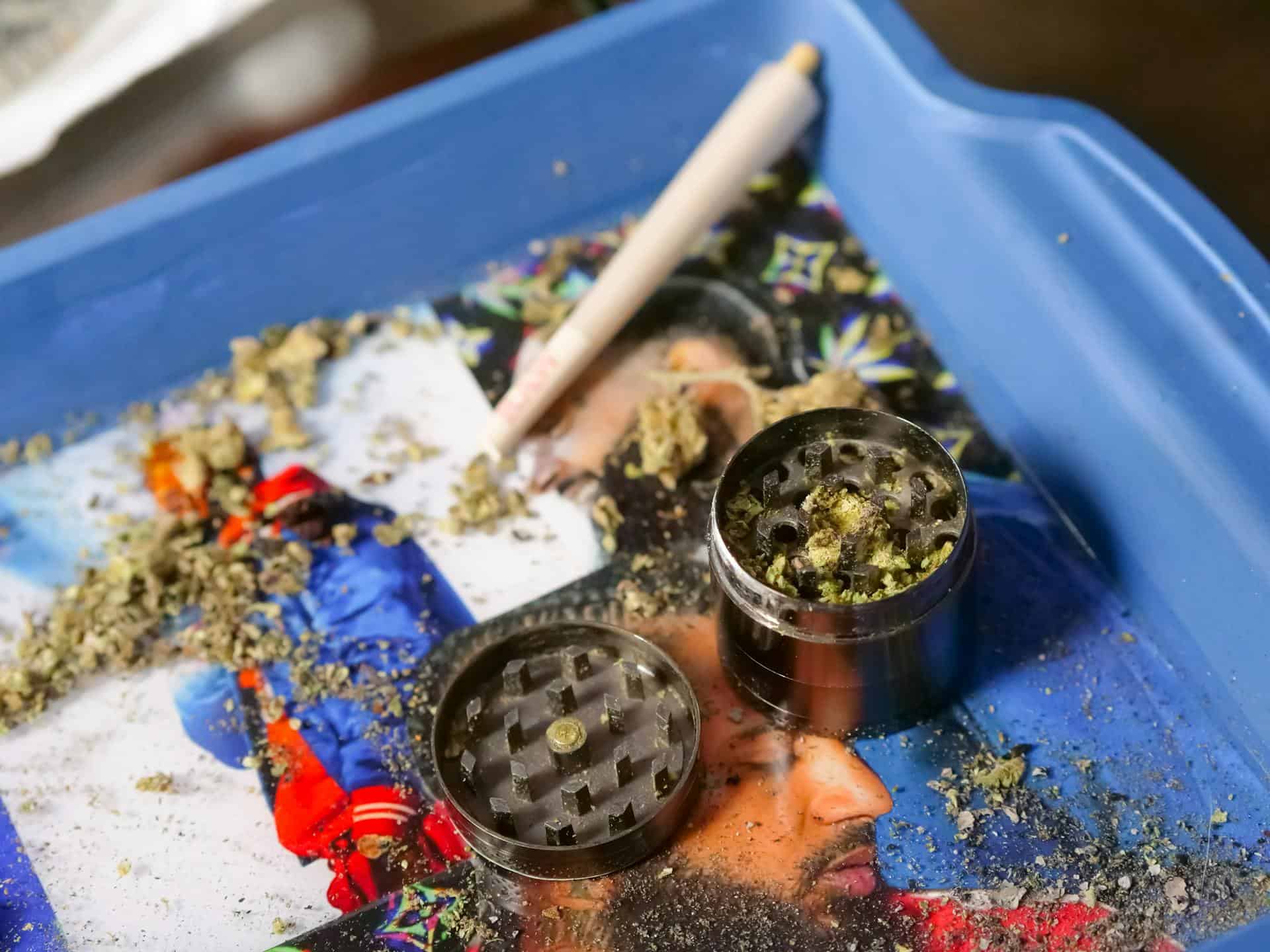 indica sativa hybrid effects